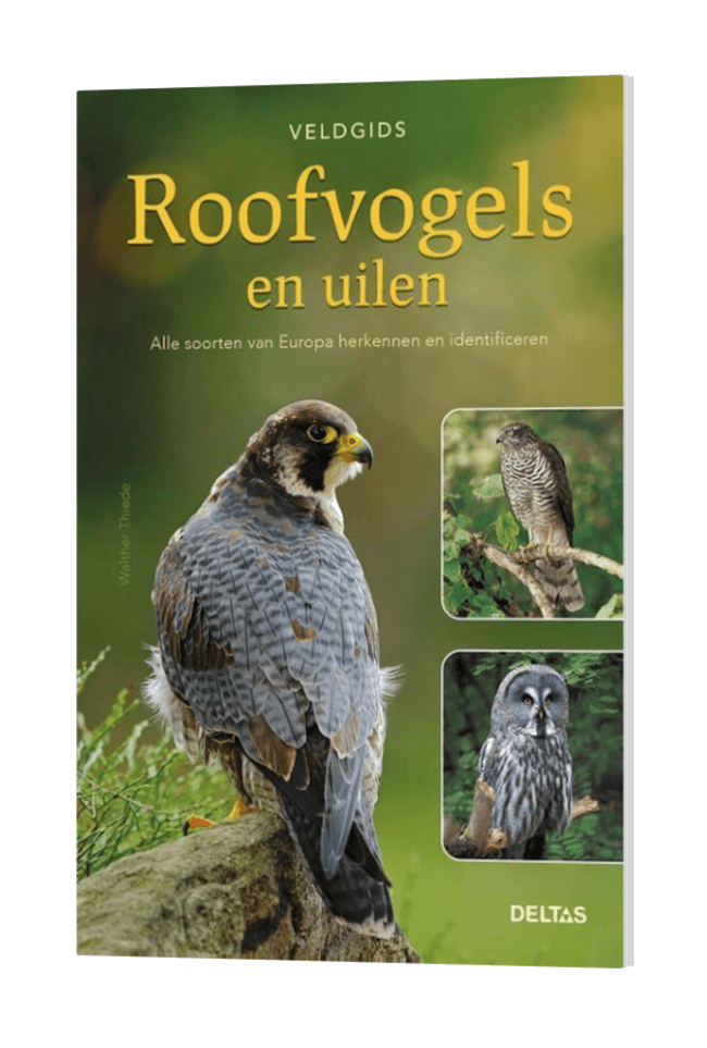 Veldgids Roofvogels en uilen Europa
